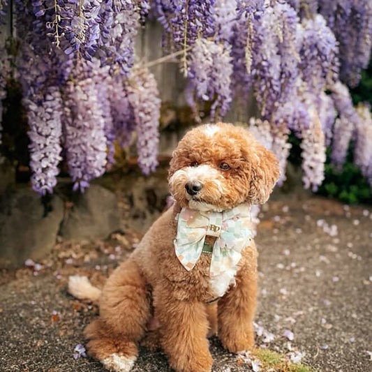 Bow Tie in Pastel Checkerboard | SUN BLOSSOM