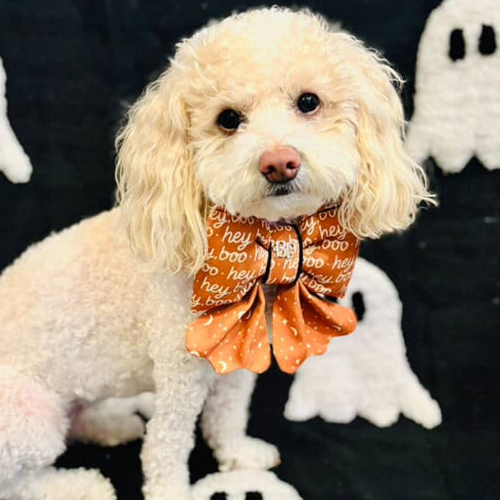 Small dog wearing a Halloween-themed bow tie with ghost decorations in the background.