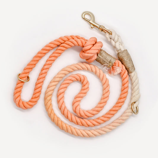 100% cotton rope leash ombre orange sorbet sherbert pastel 5ft handle ORing gold hardware dog walking pet accessory  fade hemp cord bop pop pets