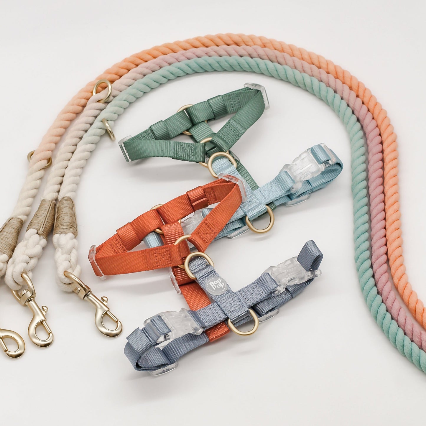 Ombre gradient fade rainbow cotton rope leash orange pink green sage with nylon contrast dog harness clear buckles with matte gold hardware and D-Ring  by Bop Pop