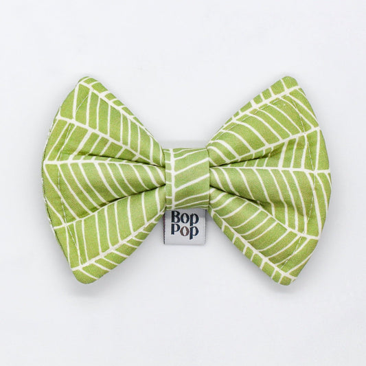 Bow Tie | Lime Light