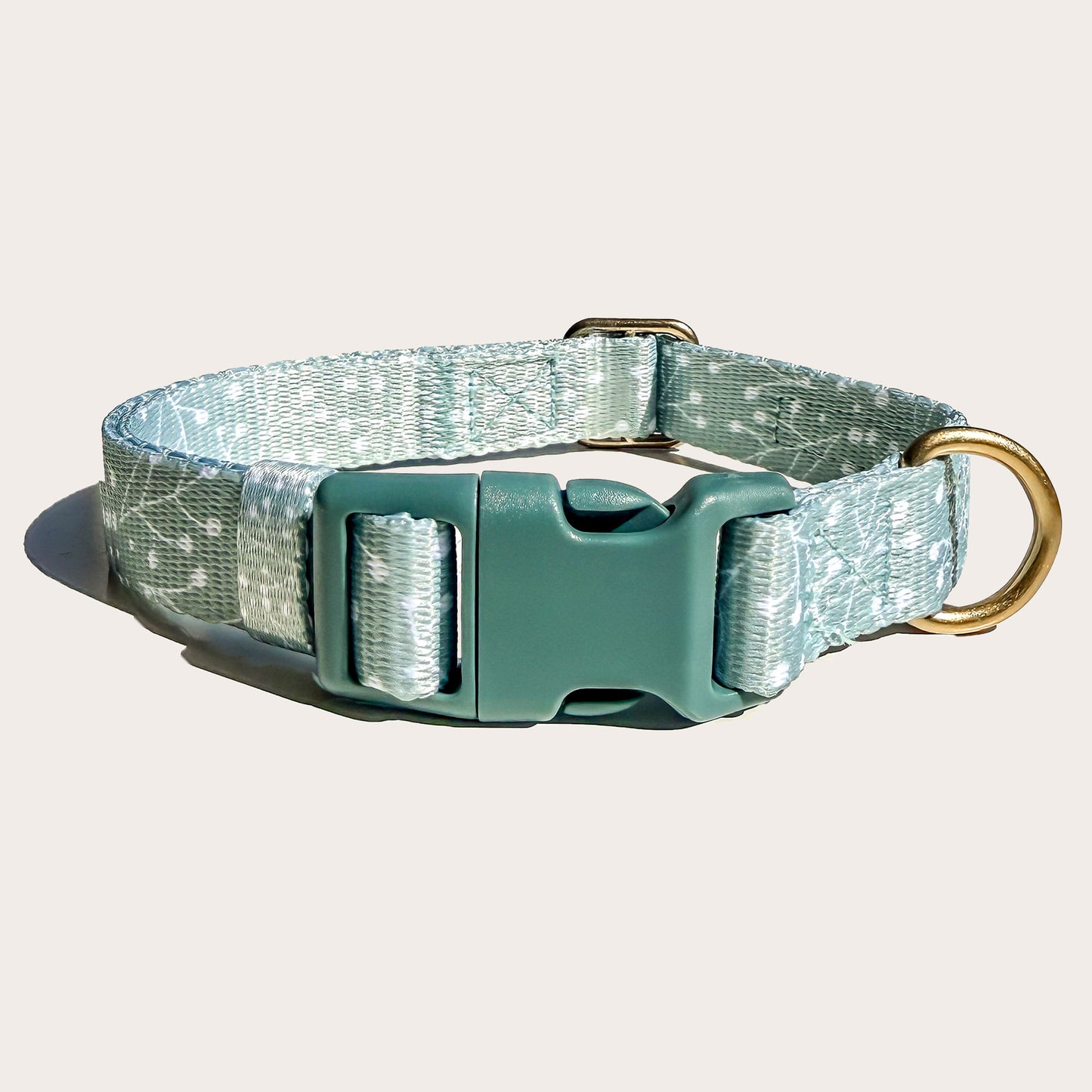 A dog collar with a light green-blue color and white patterned woven strap, a solid teal plastic buckle, and a gold-tone metal ring, shown on a light beige background.