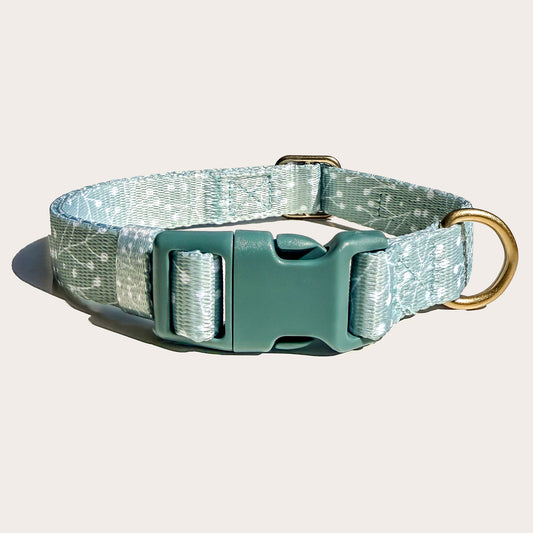A dog collar with a light green-blue color and white patterned woven strap, a solid teal plastic buckle, and a gold-tone metal ring, shown on a light beige background.