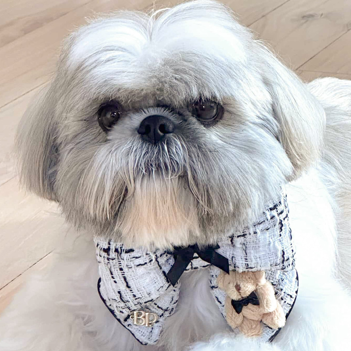 Black and White tweed chanel inspired dog bow tie with mini teddy bear in tuxedo bow tie. Bop Pop Pets pet accessories