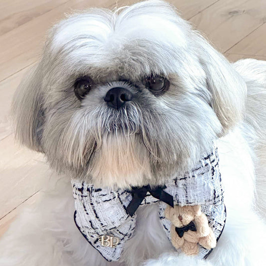 Black and White tweed chanel inspired dog bow tie with mini teddy bear in tuxedo bow tie. Bop Pop Pets pet accessories
