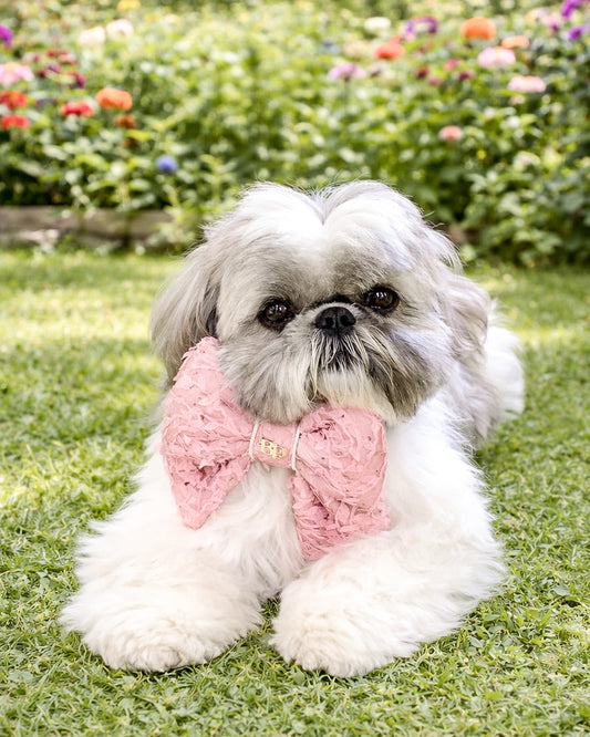 Sailor Bow Dusty Pink Floral Lace | Verona