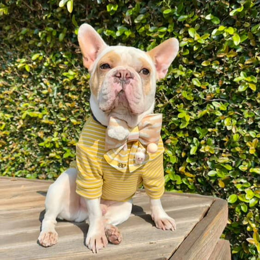 Sailor Bow Peach | Labubu in the Clouds RESTOCKED