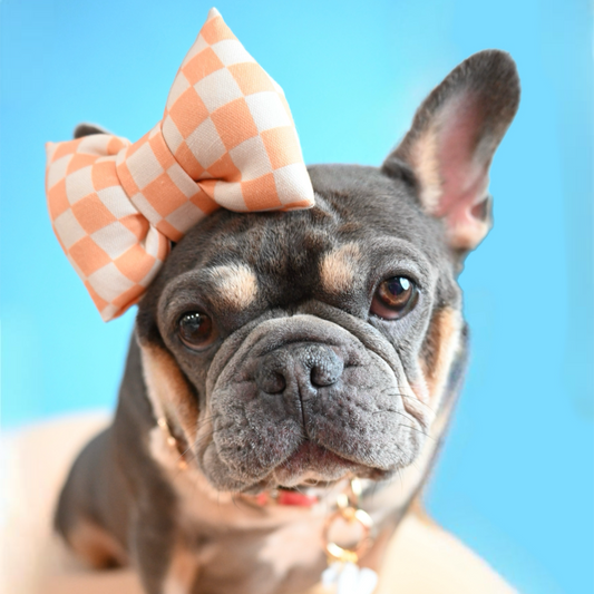 Bow Tie | Peach Checkerboard