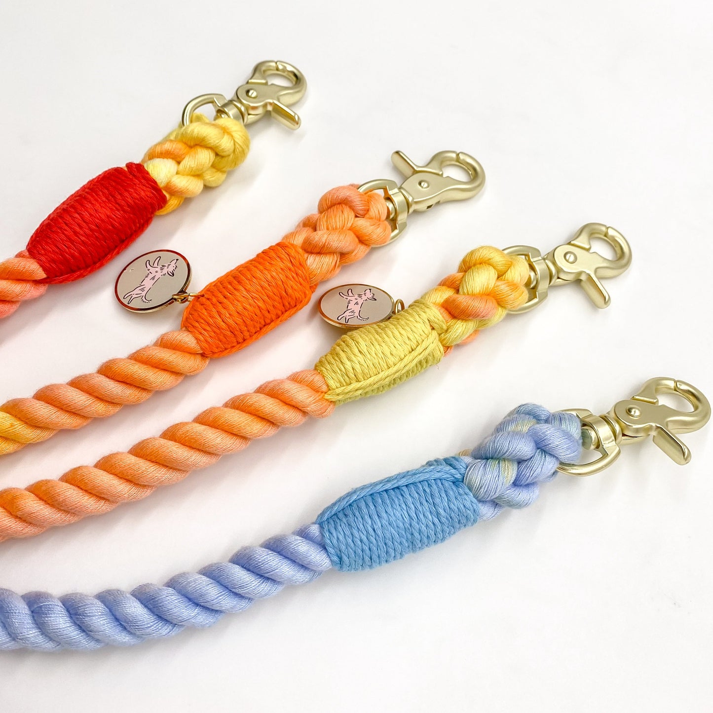 Rainbow gradient ombre hands free rope leash 8ft long cotton pet dog cat walking gold hardware small business bop pop pets accessory leash