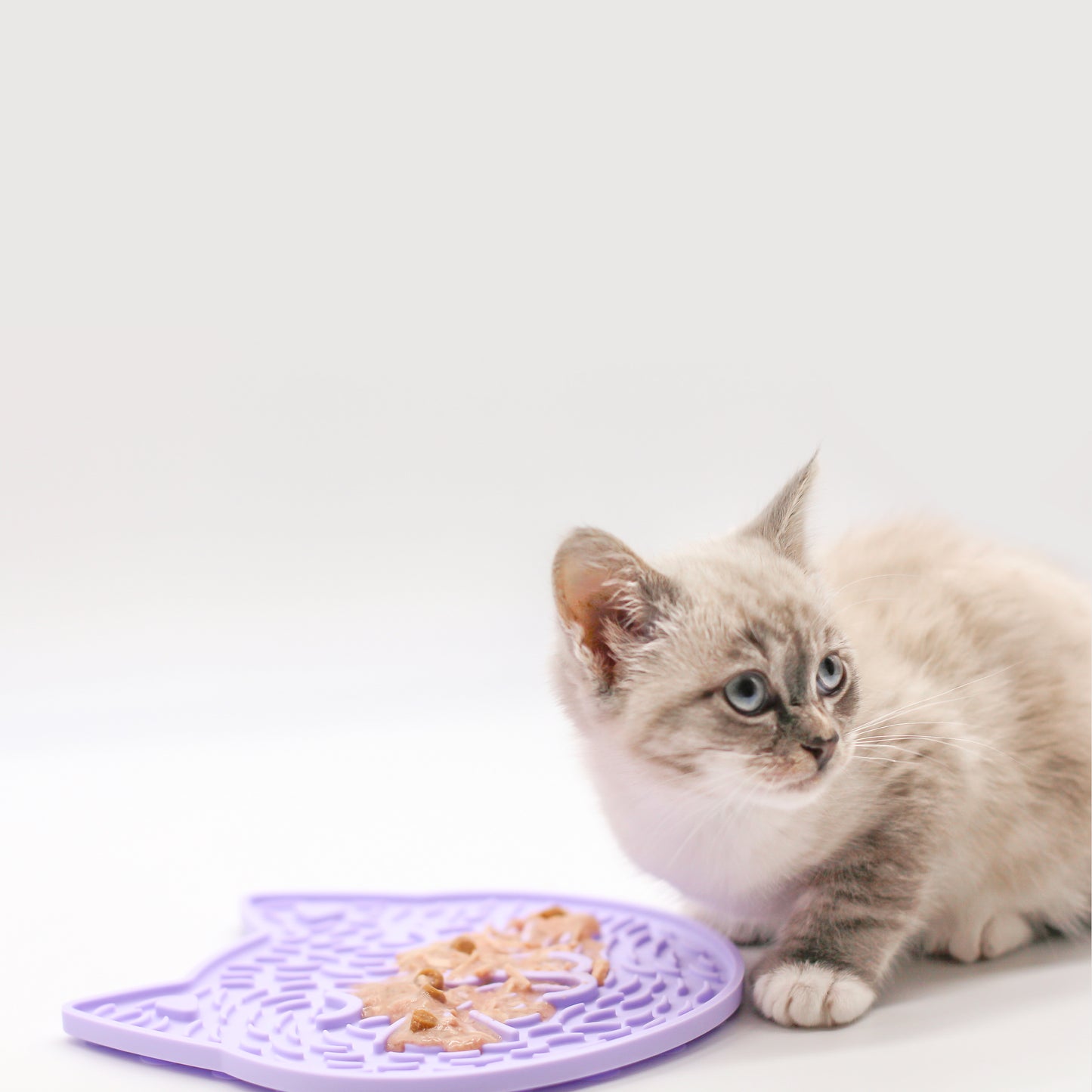 Happy Cat Kitty Lick showing small beige grey cat looking right while crouching next to purple cat shaped lick mat with wet food.