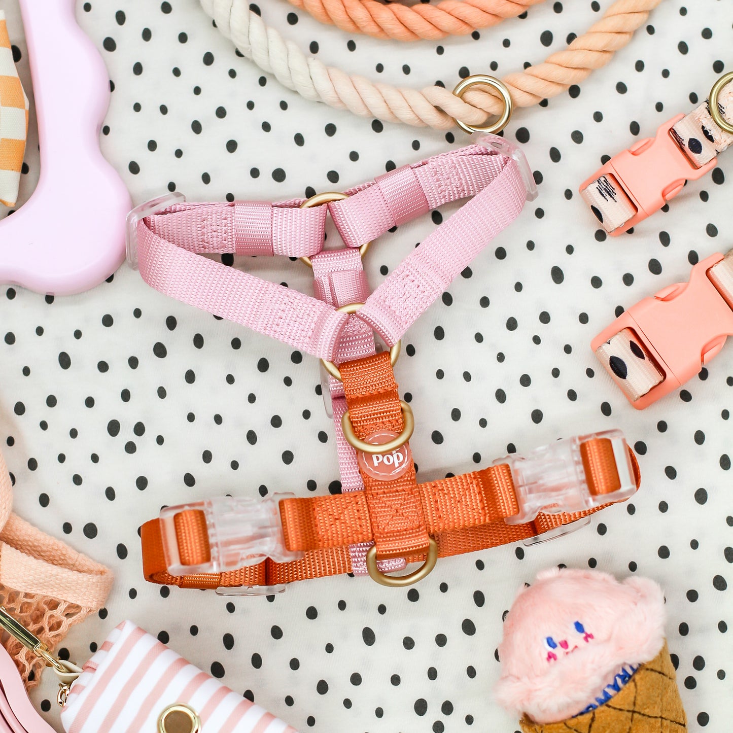 Harness | Cloudberry