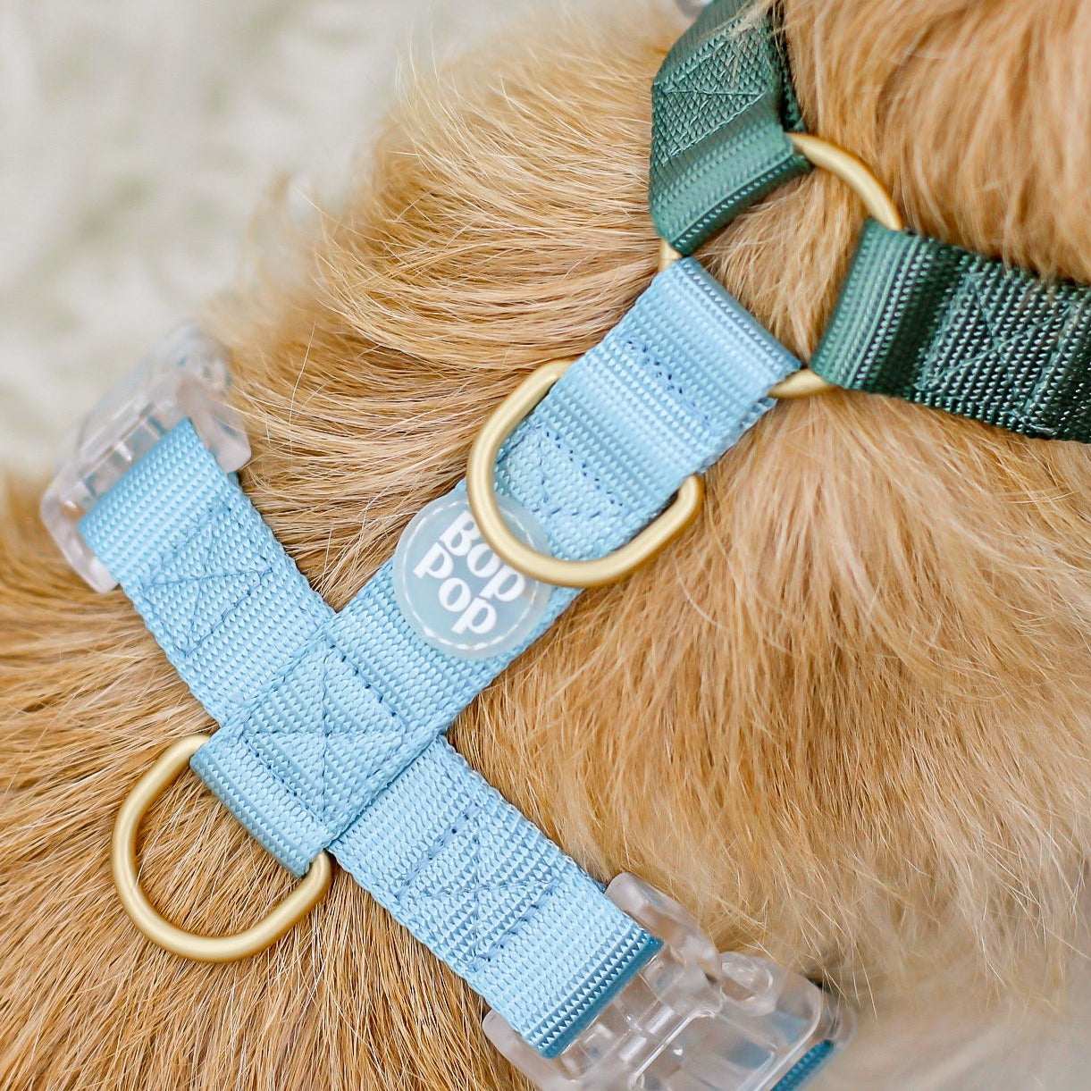 2 Color Dual Contrast Green Sage Baby Blue Aqua Classic Dog Nylon Strap Harness with Gold Hardware Clear Buckles Pet Accessory Bop Pop Pets Details Logo tag