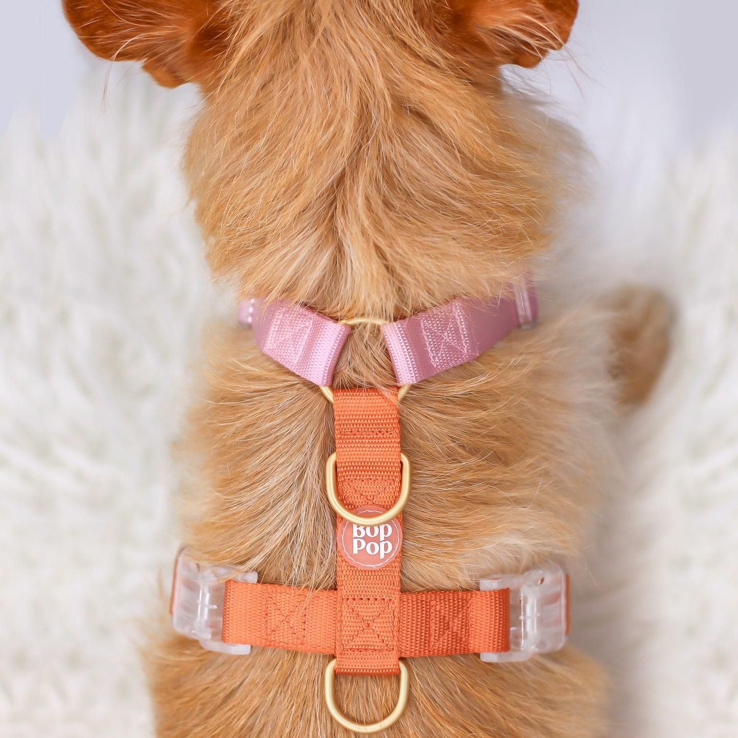 2 Color Dual Dusty Pink Orange Classic Dog Nylon Strap Harness with Gold Hardware Clear Buckles Pet Accessory Bop Pop Pets Details Logo tag