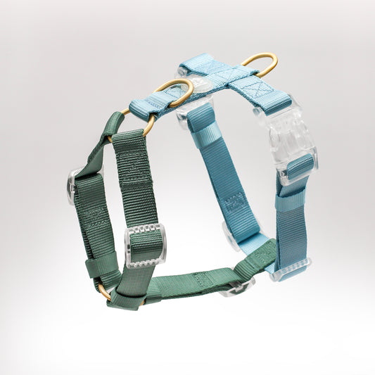 2 Color Dual Contrast Green Sage Baby Blue Aqua Classic Dog Nylon Strap Harness with Gold Hardware Clear Buckles Pet Accessory Bop Pop Pets