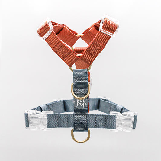 2 Color Dual Contrast Sienna Orange Rust Slate Dusty Grey Blue  Classic Dog Nylon Strap Harness with Gold Hardware Clear Buckles Pet Accessory Bop Pop Pets