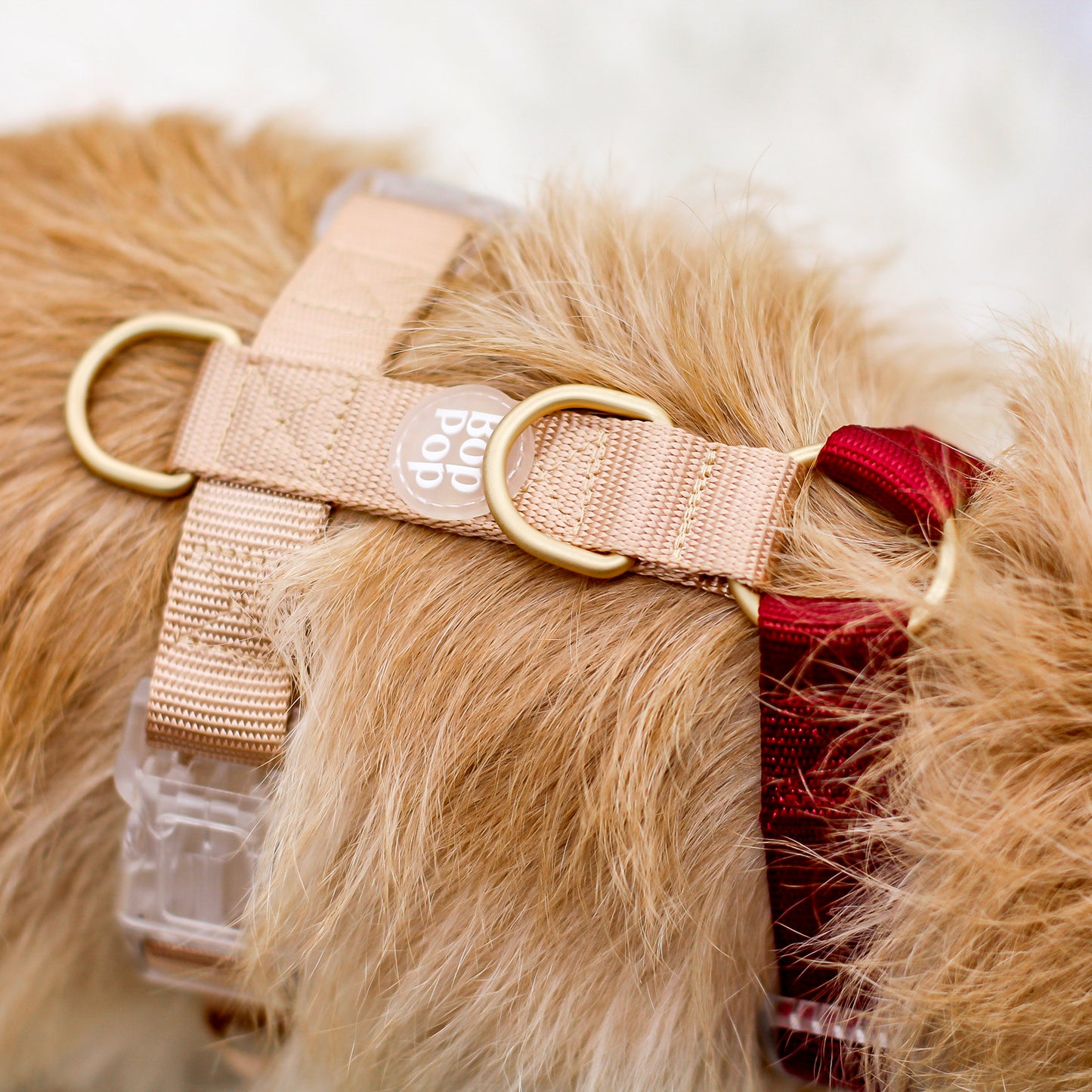 2 Color Dual Contrast Burgundy Rosewood Sand Beige Neutral Classic Dog Nylon Strap Harness with Gold Hardware Clear Buckles Pet Accessory Bop Pop Pets Details Logo tag