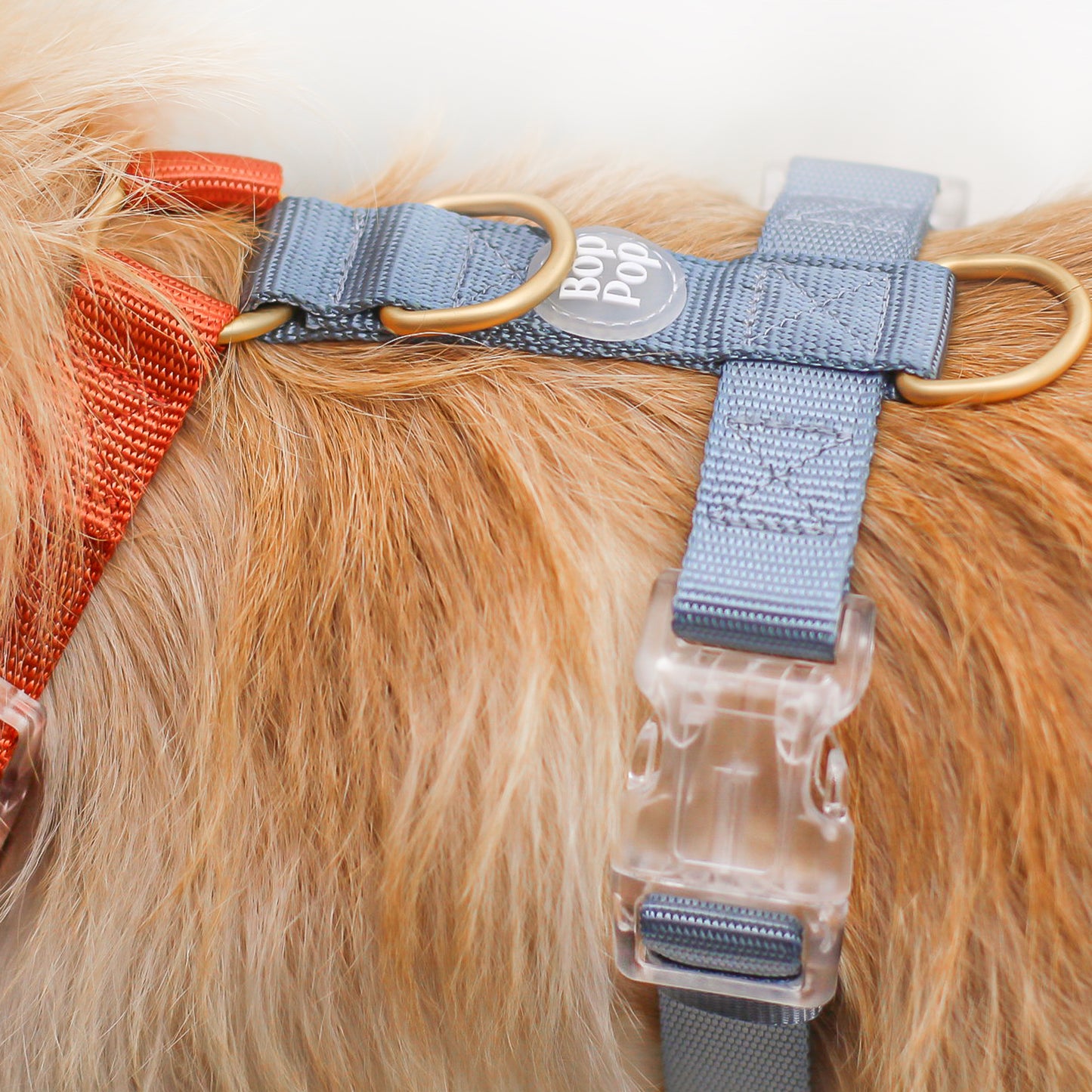 2 Color Dual Contrast Sienna Orange Rust Slate Dusty Grey Blue Classic Dog Nylon Strap Harness  with Gold Hardware Clear Buckles Pet Accessory Bop Pop Pets Details Logo Tag 