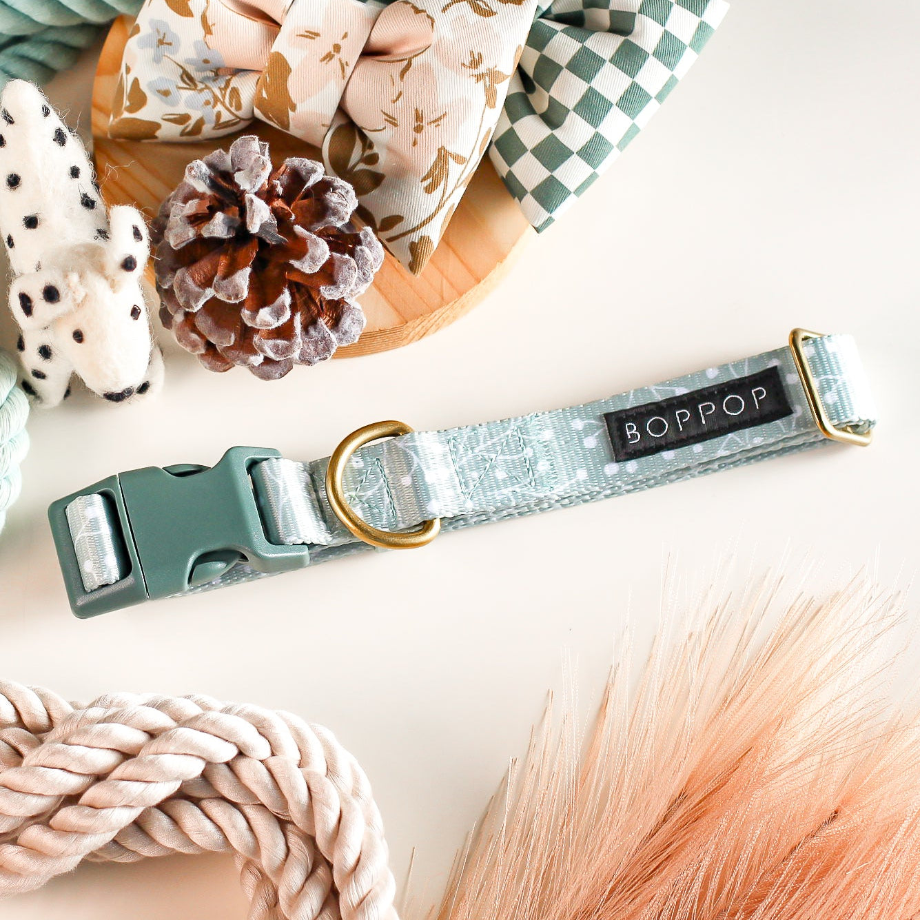 Dog collars and leashes on a light background