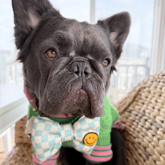 Cute Bow Tie Unique Bow Tie Dog Gifts aqua checkerboard oversized large Big Puppa Bow Tie organic linen cotton with Smiley patch fuzzy chenille  Bop Pop Pets dog cat accessories Frenchie bull dog