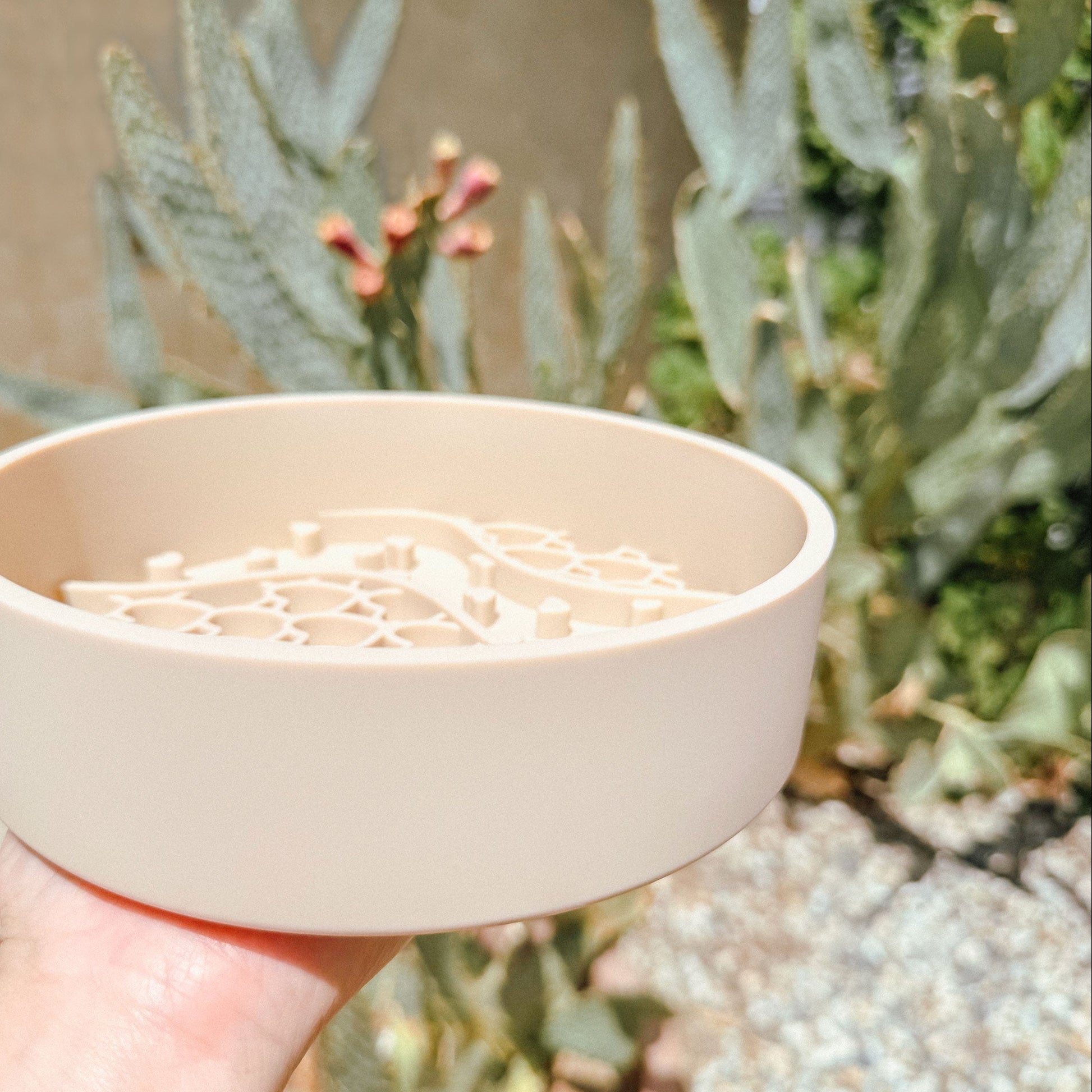 A hand holding a small round beige tan silicone pet slow feeder dish with a decorative heart-cutout pattern on the inside, photographed outdoors with blurred cactus plants in the background.