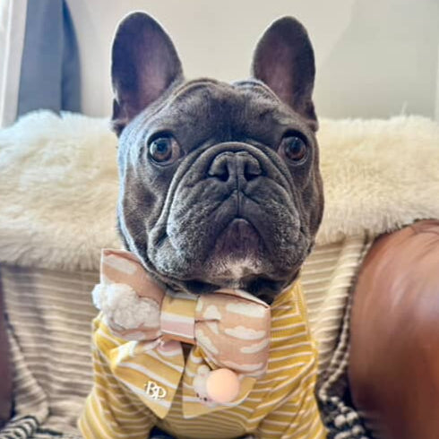 Sailor Bow Peach | Labubu in the Clouds RESTOCKED