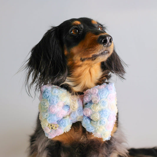 Easter Spring theme Flower Rose Bow tie blue pink purple rainbow pastel rose fabric Handmade of High quality fabric pet accessory gift dog & cat bow ties bop pop pets.  Long haired dachshund small 
