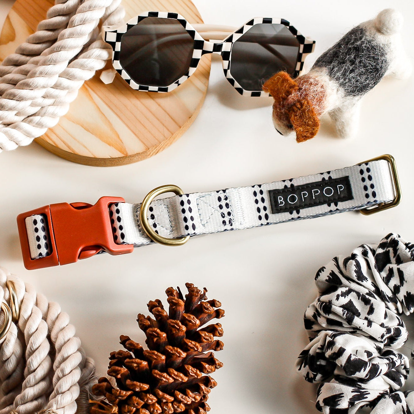 Dog accessories including a collar, leash, sunglasses, and scrunchie on a light background