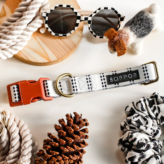 Dog accessories including a collar, leash, sunglasses, and scrunchie on a light background