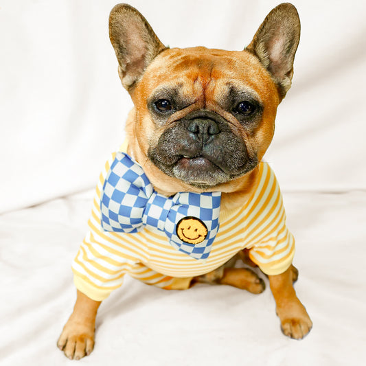 Frenchie dog French bulldog Cute Bow Tie Unique Bow Tie Dog mom gifts with smiley face patch Organic cotton structured bow tie Mustard yellow brooklyn style checkerboard prints collar bow Bop pop pets dog cat pet accessories dog mom gifts