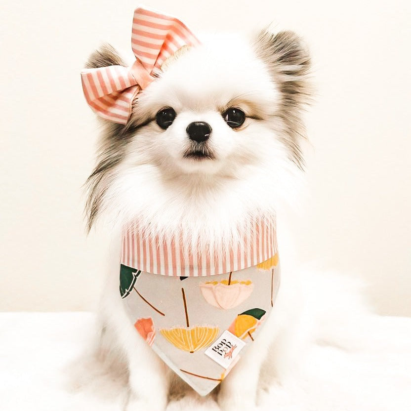 Parasol Umbrella pink stripe retro style dog pet cat bandana cotton small dog pomeranian matching hair bow