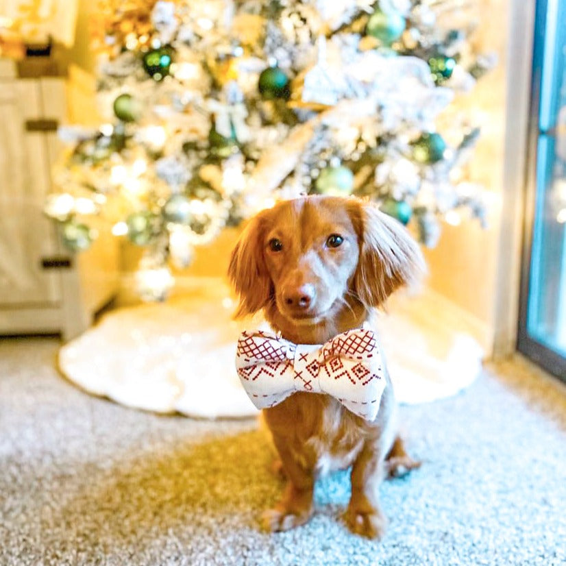 Weiner Pup Mayhem Dauschund dog bow tie pet accessory Christmas puppy cabin sweater red print