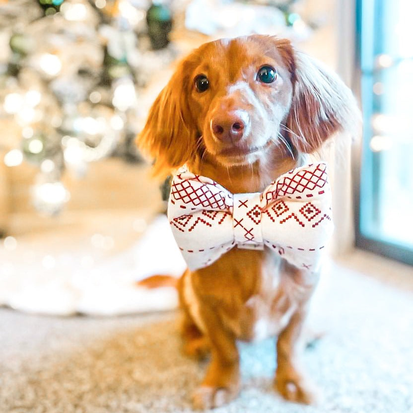 Weiner Pup Mayhem Dauschund dog bow tie pet accessory Christmas puppy cabin sweater red print