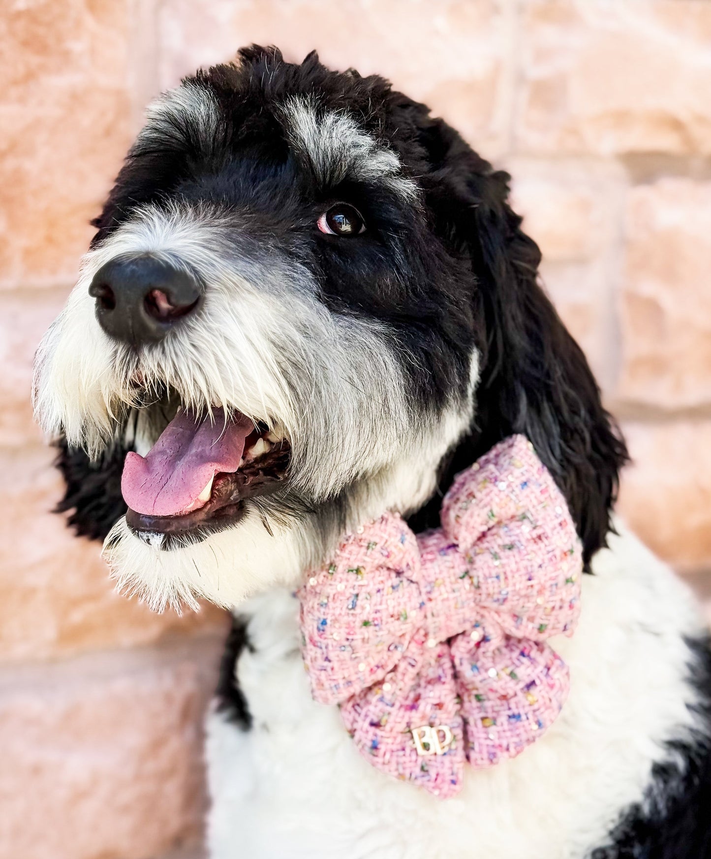 Sailor Bow | Sprinkled Pink in Tweed