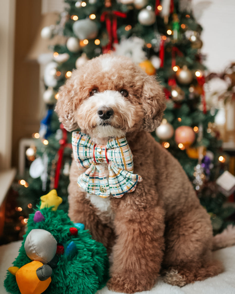 Dog in plaid bow tie Gold Heart charm sitting in front of a decorated Christmas tree. Scallop edge bow tie tails Bop Pop dog bows pet accessories