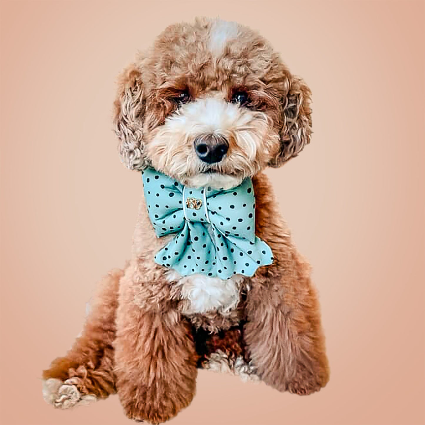 Sailor Bow | Autumn Blue Polka Dot Scallop Bow