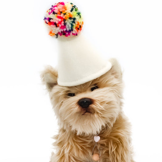 Pawty Hat | Confetti Pawty