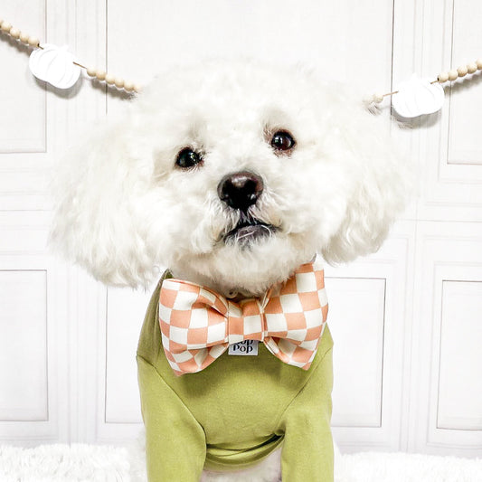 Pink clay dusty puffy, structured pet bow tie pet accessory cat dog checkerboard 100% cotton dapper modern boho 