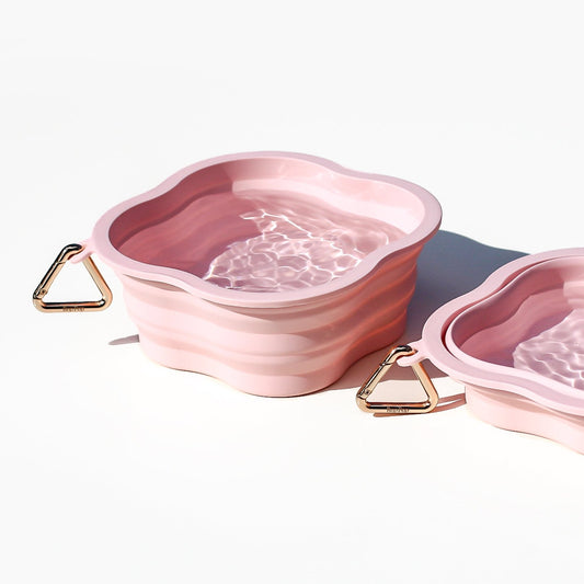 pink berry pastel stylish silicone water bowl pets dogs cats collapsible foldable portable travel bowl or hiking  bowl for drinking or feeding. Pocket sized dog walking bop pop pets accessories Small Medium size dogs water capacity small to large pets with gold triangle carabiner clasp