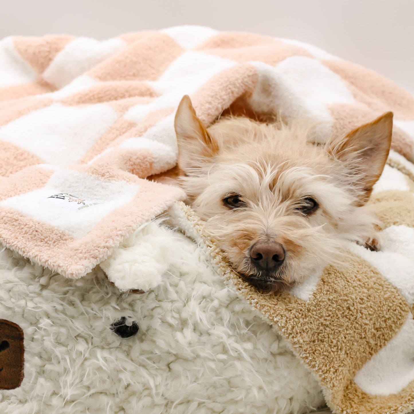 dusty creme white checkerboard print pink blanket oeko tex ecofriendly nontoxic vegan plush soft mini pet blanket for dogs cats bop pop pets