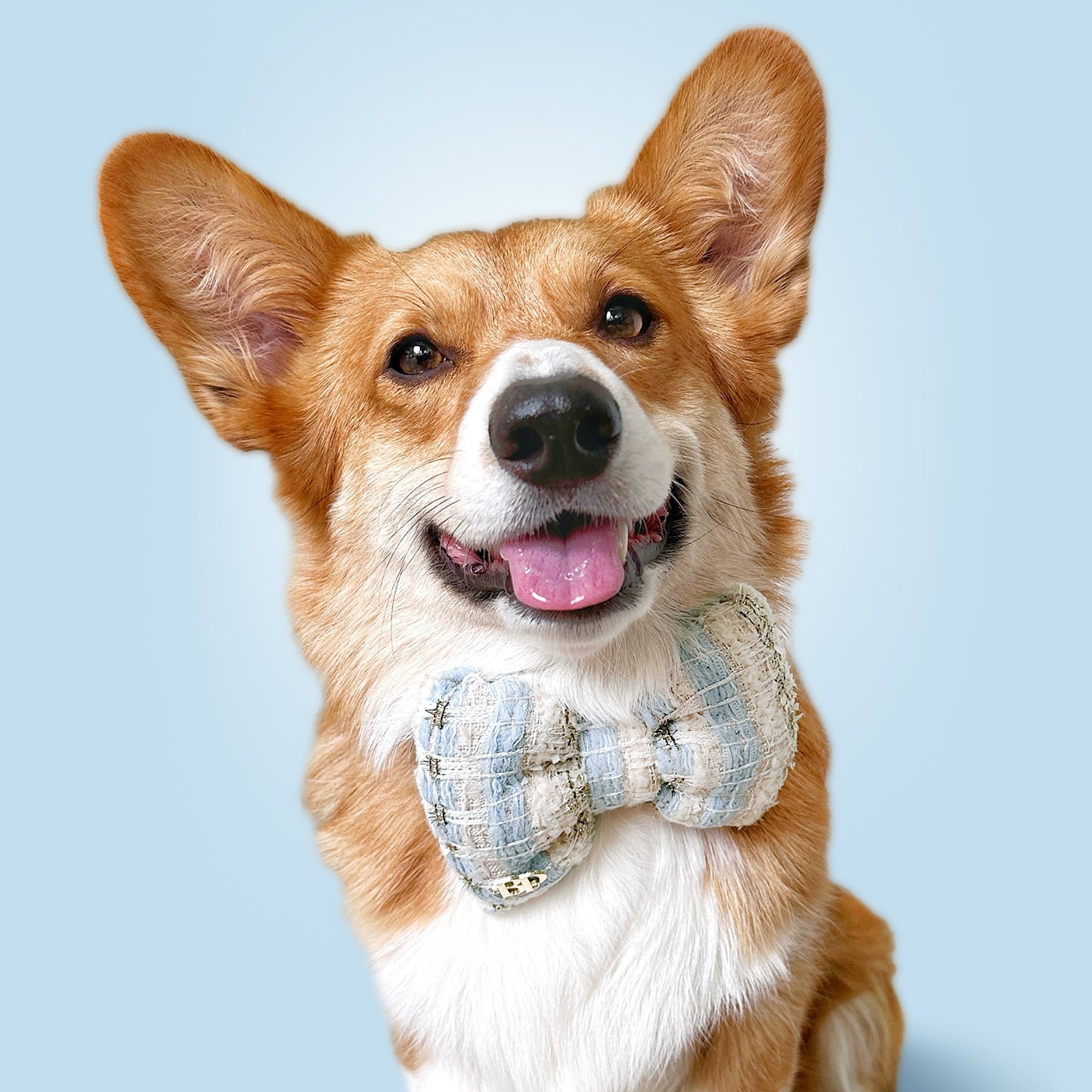 Bow Tie in Tweed | BLEU de CHANEL