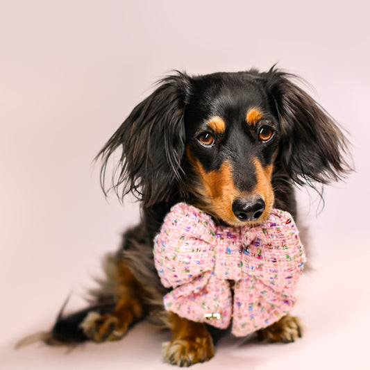 Luxury dog bows for collars.  Pink Tweed Pink Sprinkles Sailor bow tie. Handmade of High quality premium tweed fabric with sparkles and sprinkles. pet accessory gift Sailor bow bop pop pets. Dachshund dog bow pet accessory