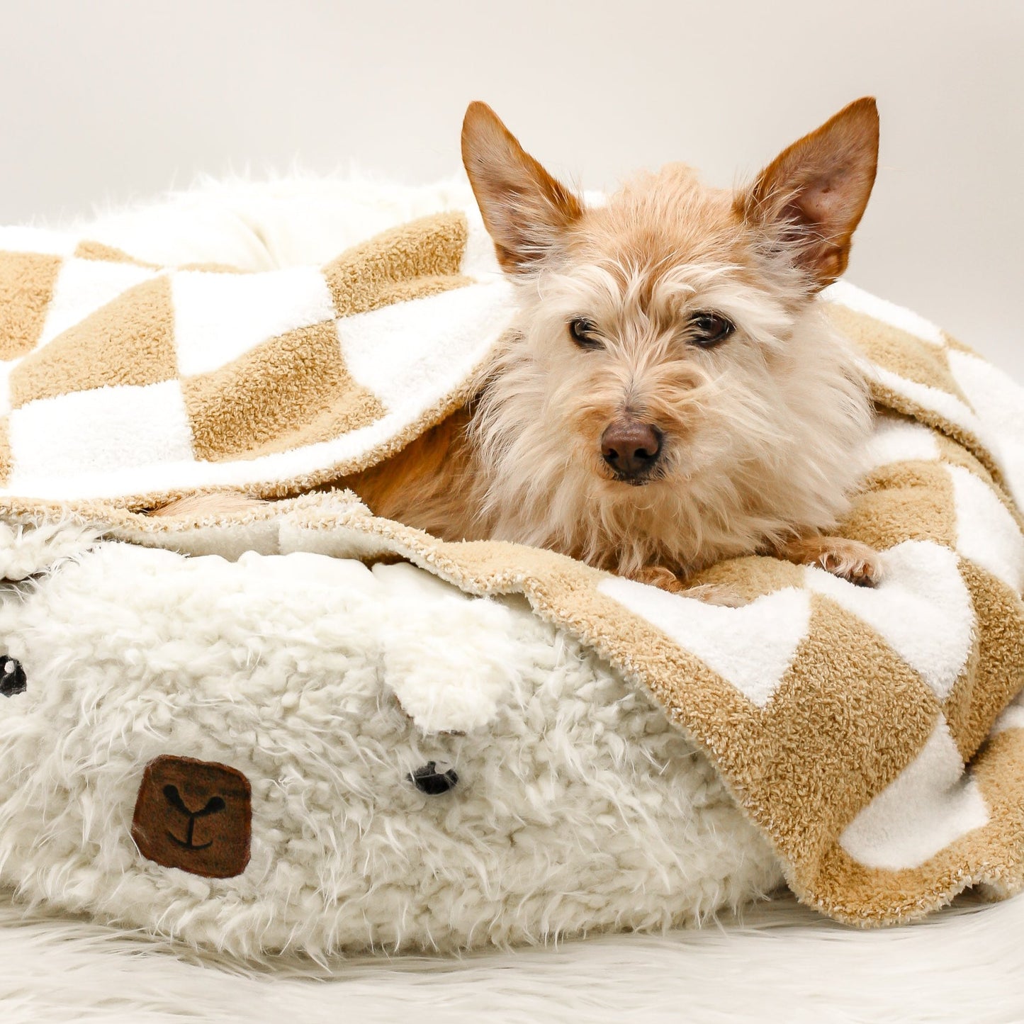 tan creme white checkerboard print blanket oeko tex ecofriendly nontoxic vegan plush soft mini pet blanket for dogs cats bop pop pets