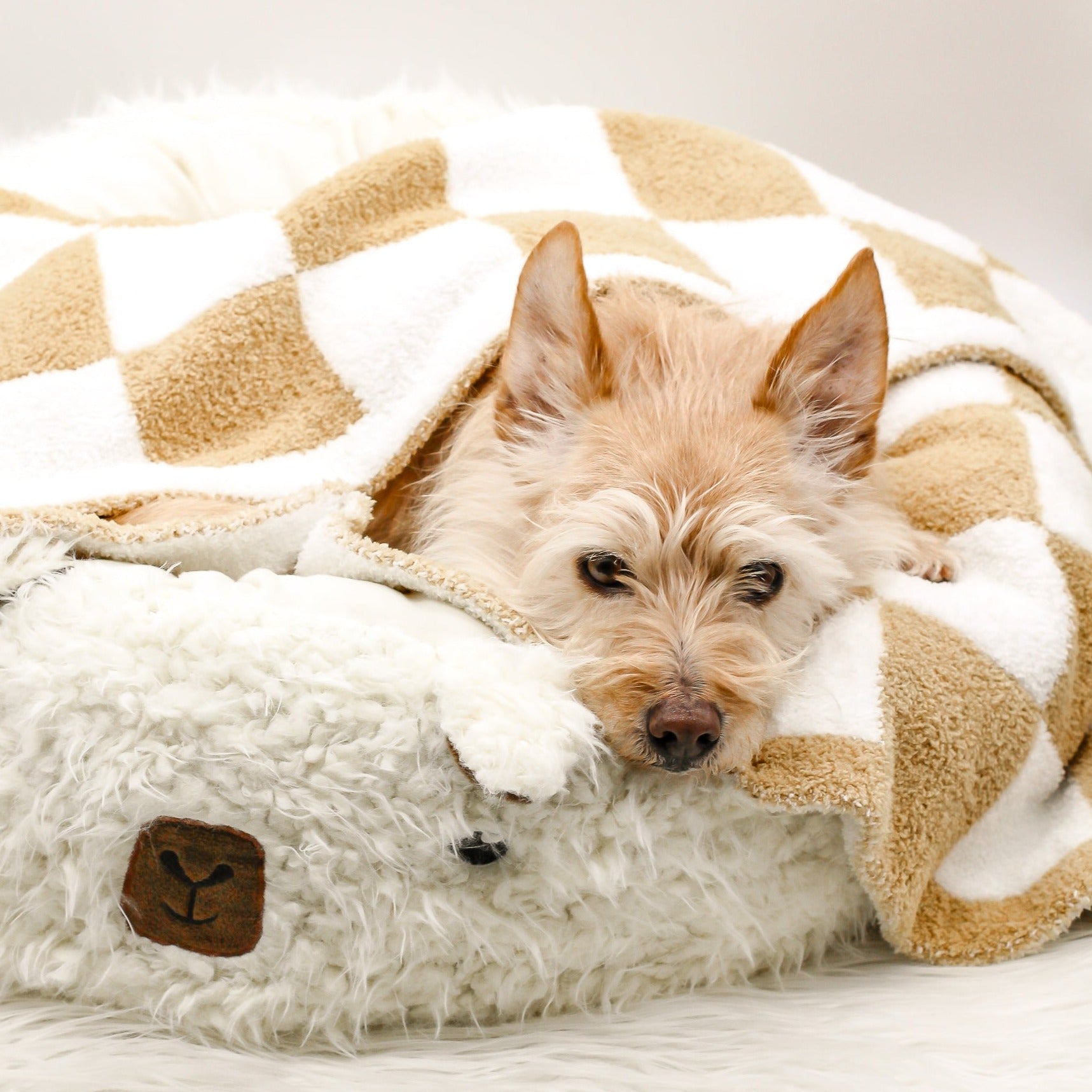 tan creme white checkerboard print blanket oeko tex ecofriendly nontoxic vegan plush soft mini pet blanket for dogs cats bop pop pets