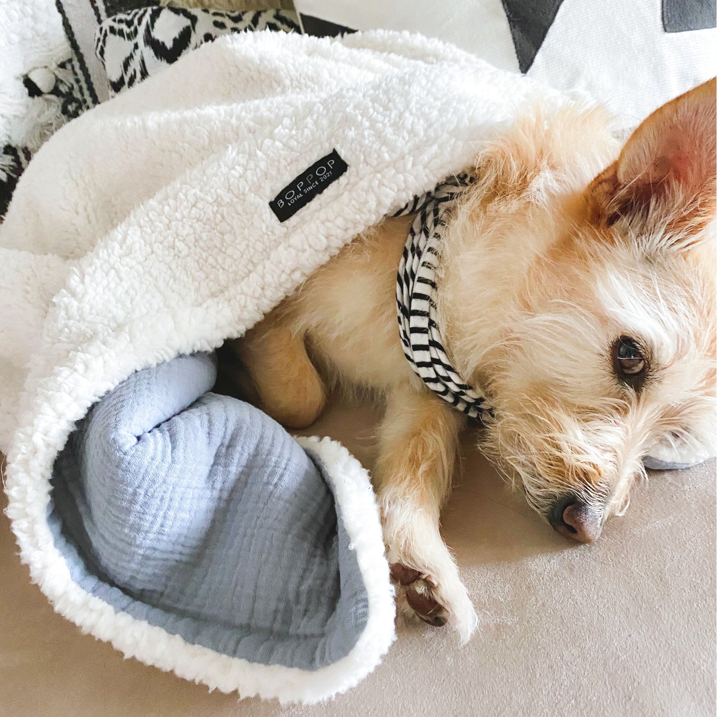 Premium Mini Pet Blanket | Dusty Bleu