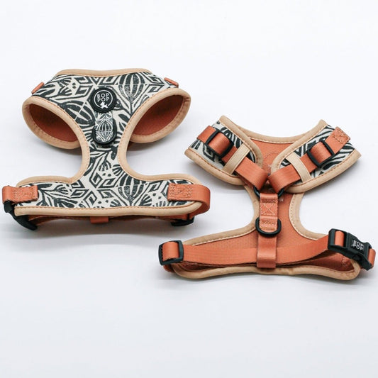 TERRALUNA Dog Harness Sienna Eggshell dogs small medium large soft comfort harness padded neoprene breathable walking harness boho modern chic bohemian rust moroccan stamp print french bull dog black dark hair dogs