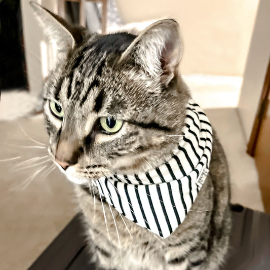dog + cat pet bandana cozy soft pet apparel No Iron