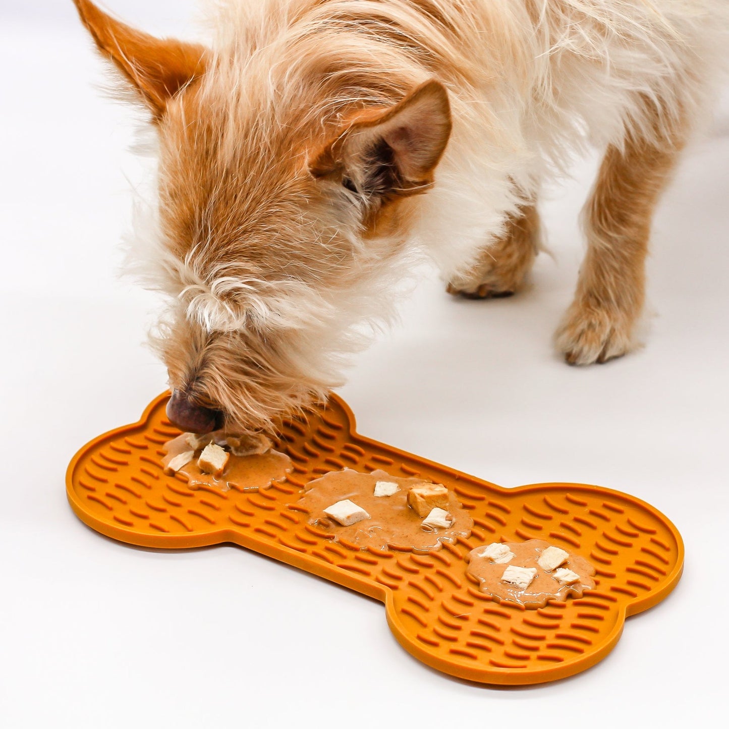 Blonde fluffy Dog with perky ears licking peanut butter and dry chicken squares on a bone-shaped Lick Mat standing on a white  background.